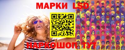 гидропоника Дубна