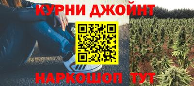 гидропоника Дубна