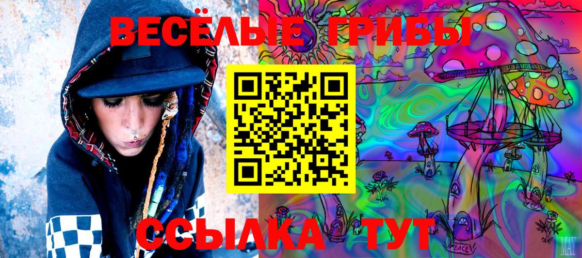 Псилоцибиновые грибы GOLDEN TEACHER  Галлюциногенные грибы GOLDEN TEACHER  что такое   Вход с VPN  Елец 